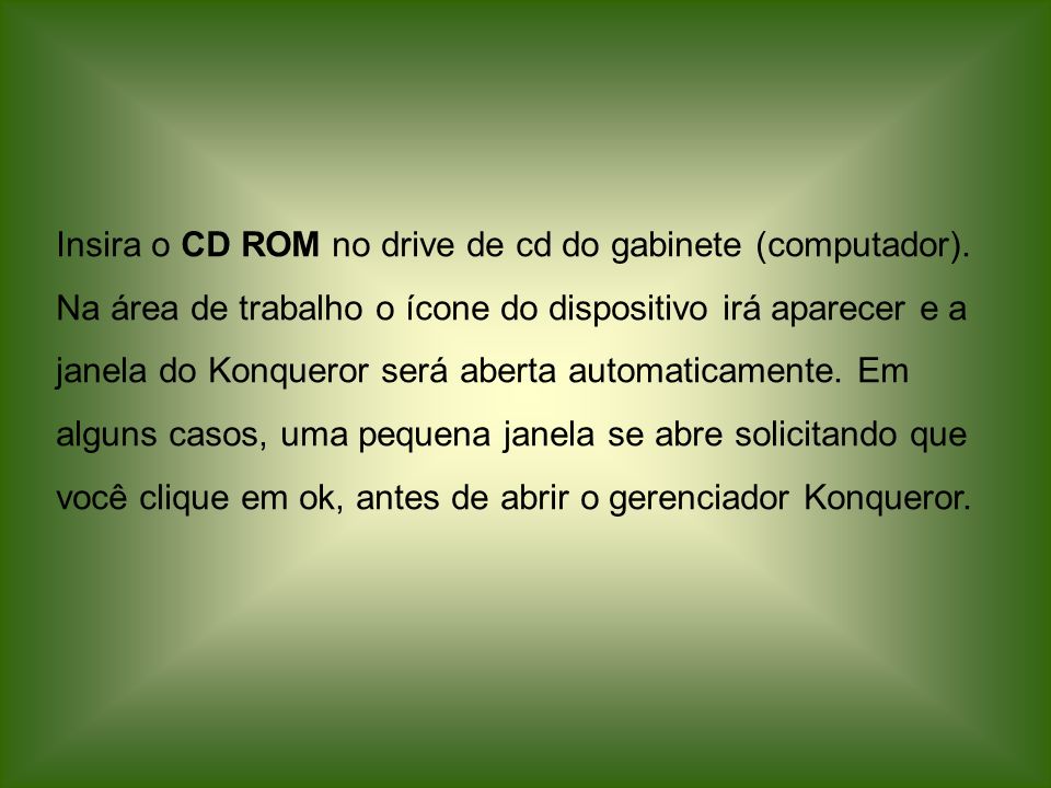 Insira o CD ROM no drive de cd do gabinete (computador)