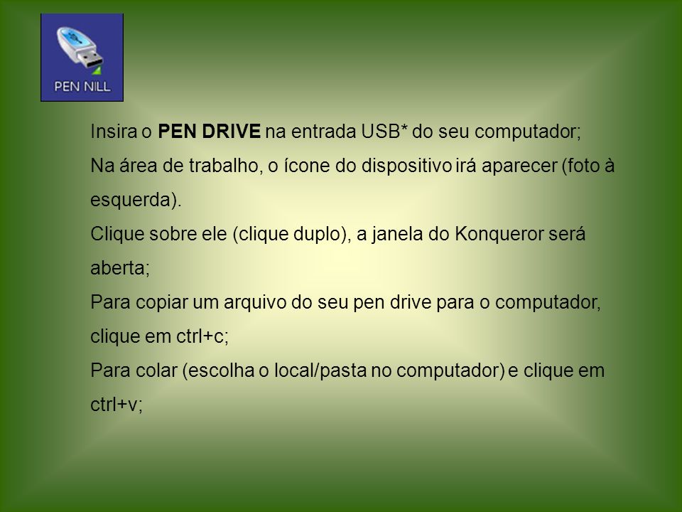 Insira o PEN DRIVE na entrada USB* do seu computador;