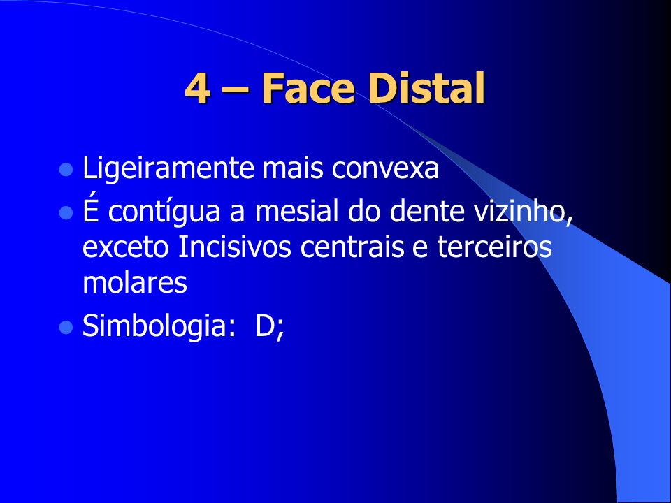 4 – Face Distal Ligeiramente mais convexa