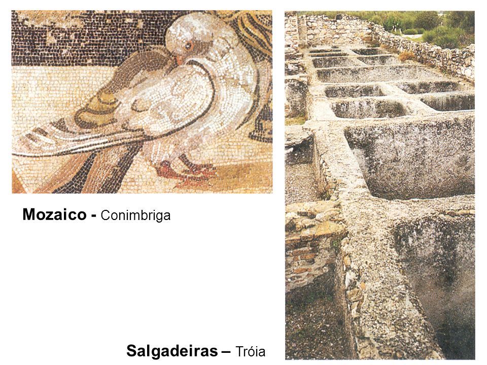 Mozaico - Conimbriga Salgadeiras – Tróia
