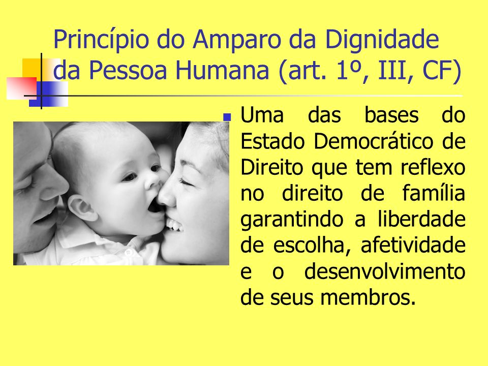 Princípio do Amparo da Dignidade da Pessoa Humana (art. 1º, III, CF)