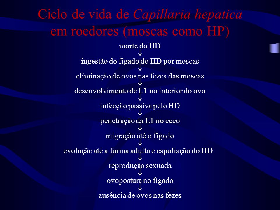 Paraziták kapilláris hepatica - BNO – A keringési rendszer betegségei