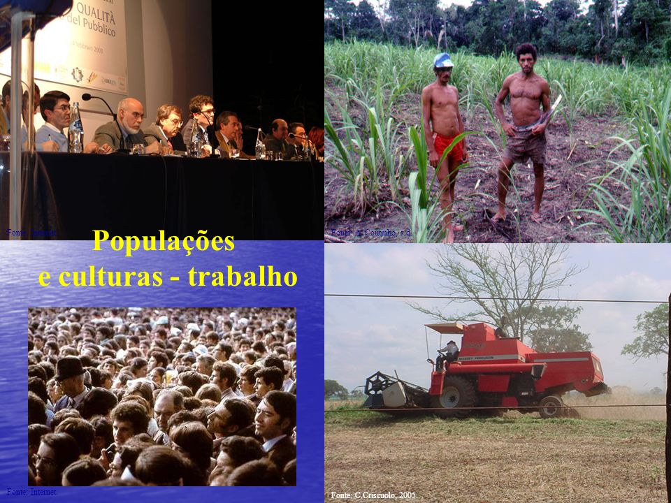 Populações e culturas - trabalho