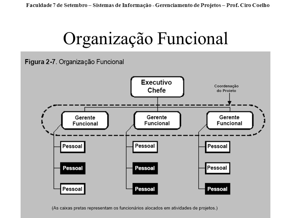 Organização Funcional