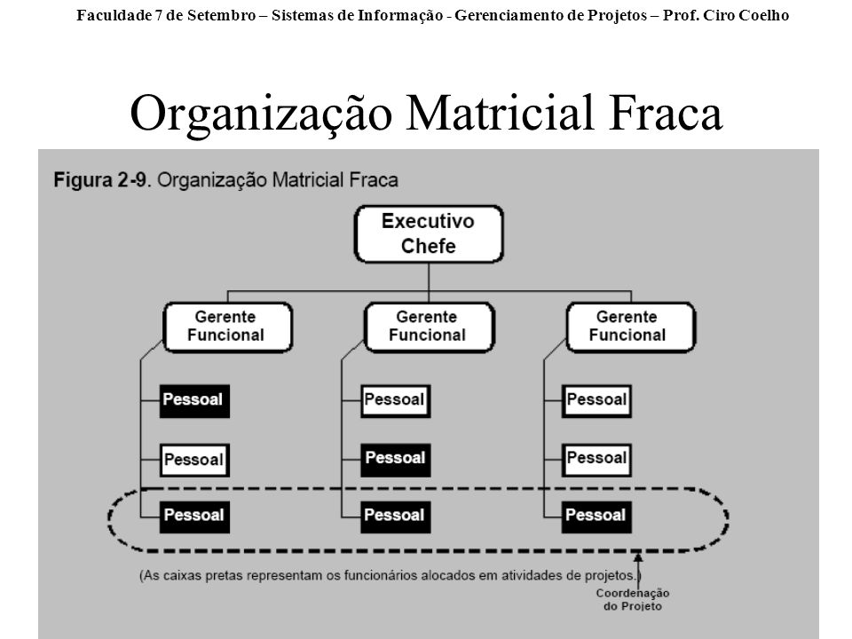 Organização Matricial Fraca
