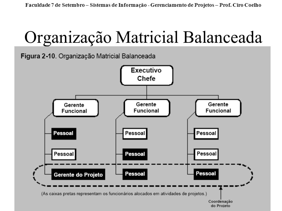 Organização Matricial Balanceada