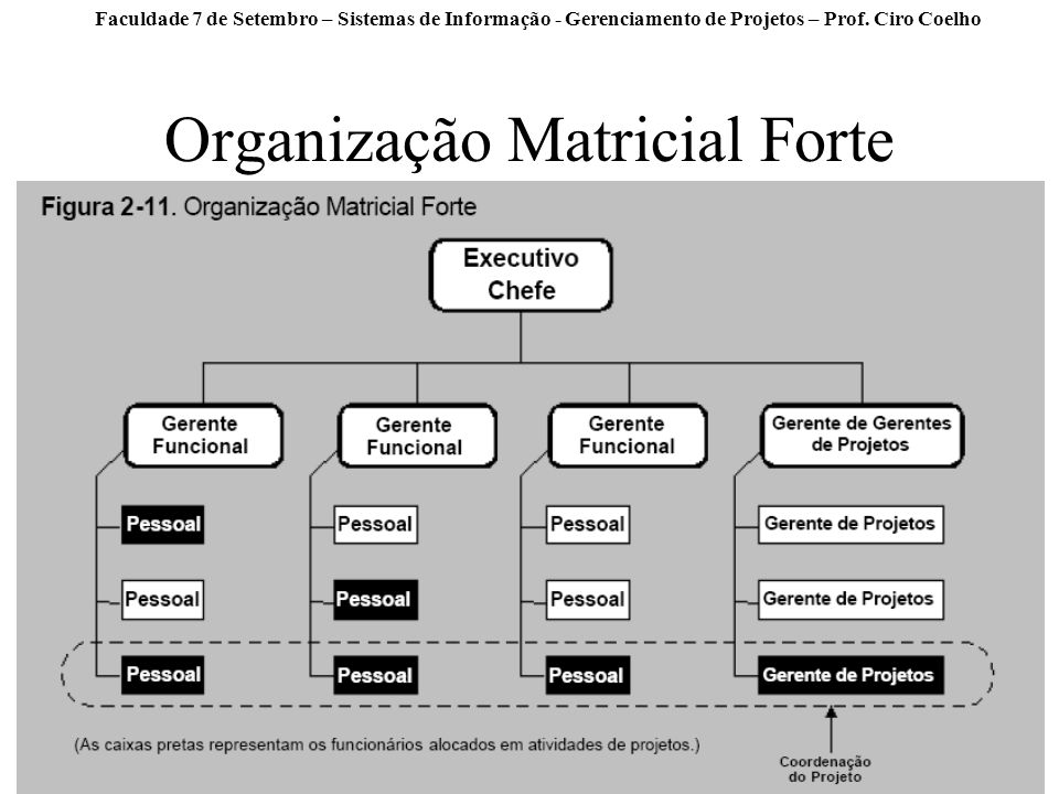 Organização Matricial Forte