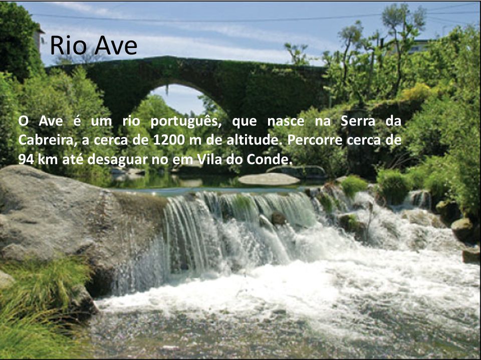 Rio Ave