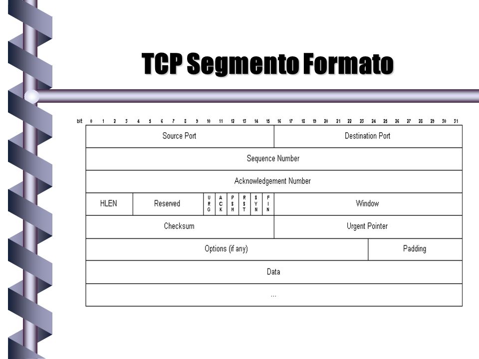 TCP Segmento Formato