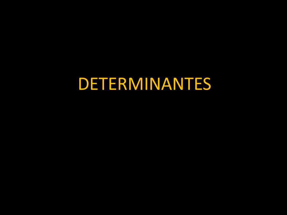 DETERMINANTES