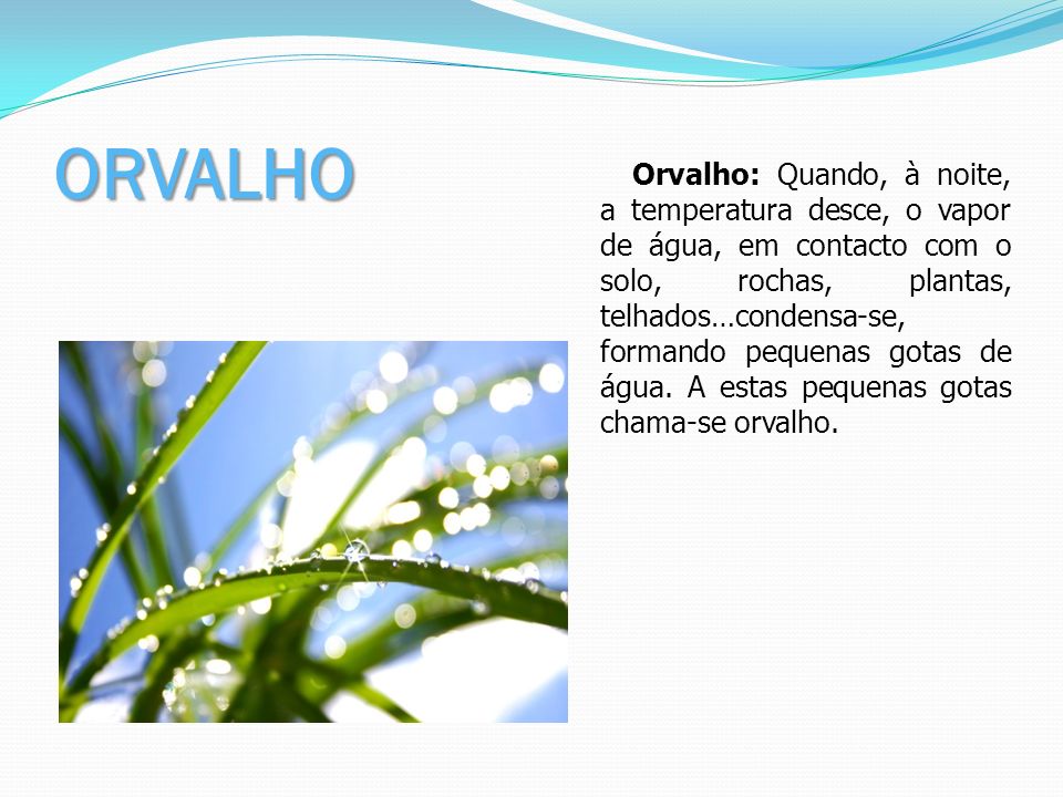 ORVALHO