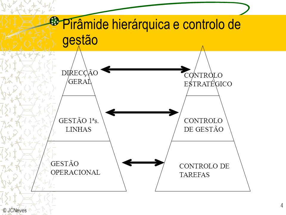 Pirâmide hierárquica e controlo de gestão