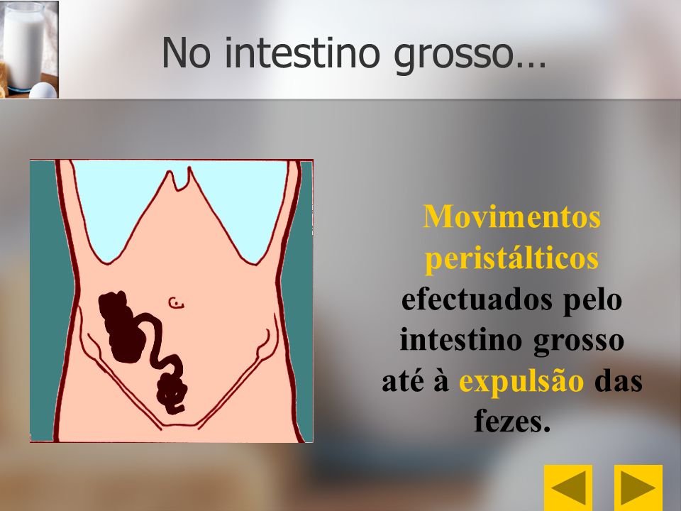 No intestino grosso… Movimentos peristálticos efectuados pelo intestino grosso até à expulsão das fezes.