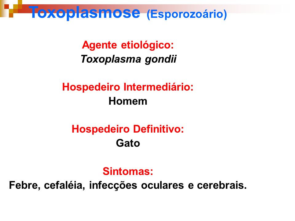 Toxoplasmose (Esporozoário)