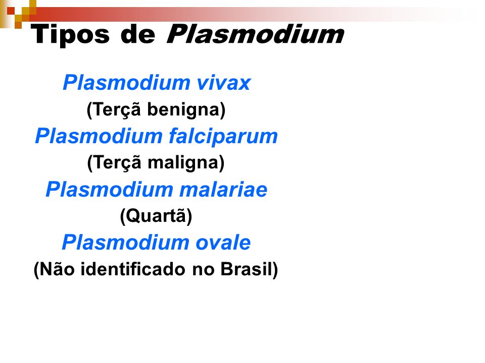 Plasmodium falciparum (Não identificado no Brasil)