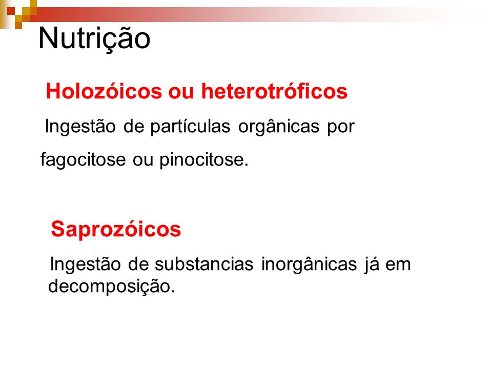 Nutrição Holozóicos ou heterotróficos fagocitose ou pinocitose.