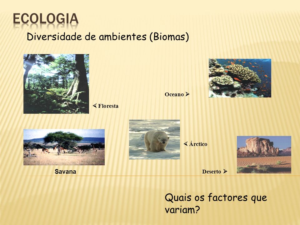 ecologia Diversidade de ambientes (Biomas)