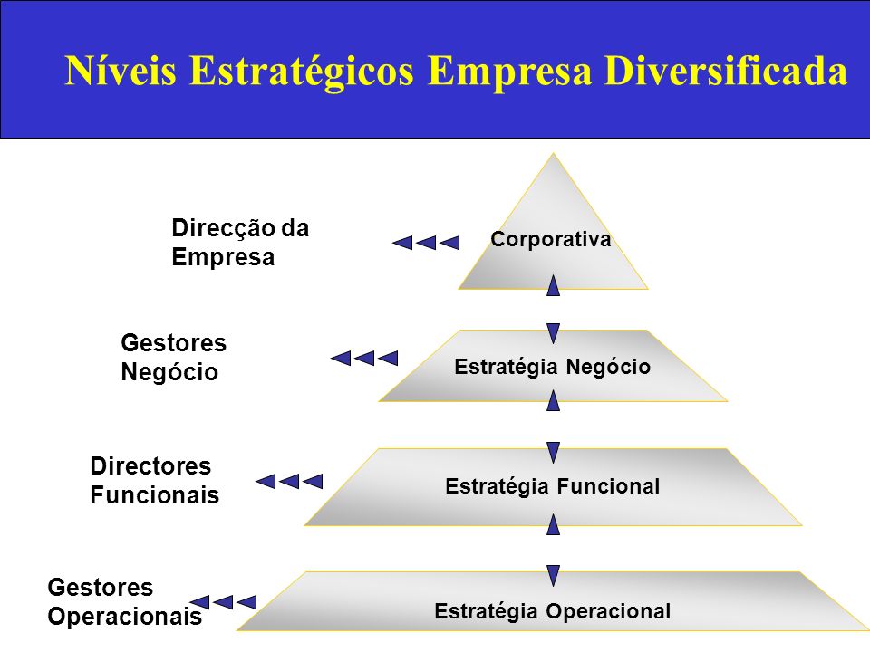 Níveis Estratégicos Empresa Diversificada Estratégia Operacional