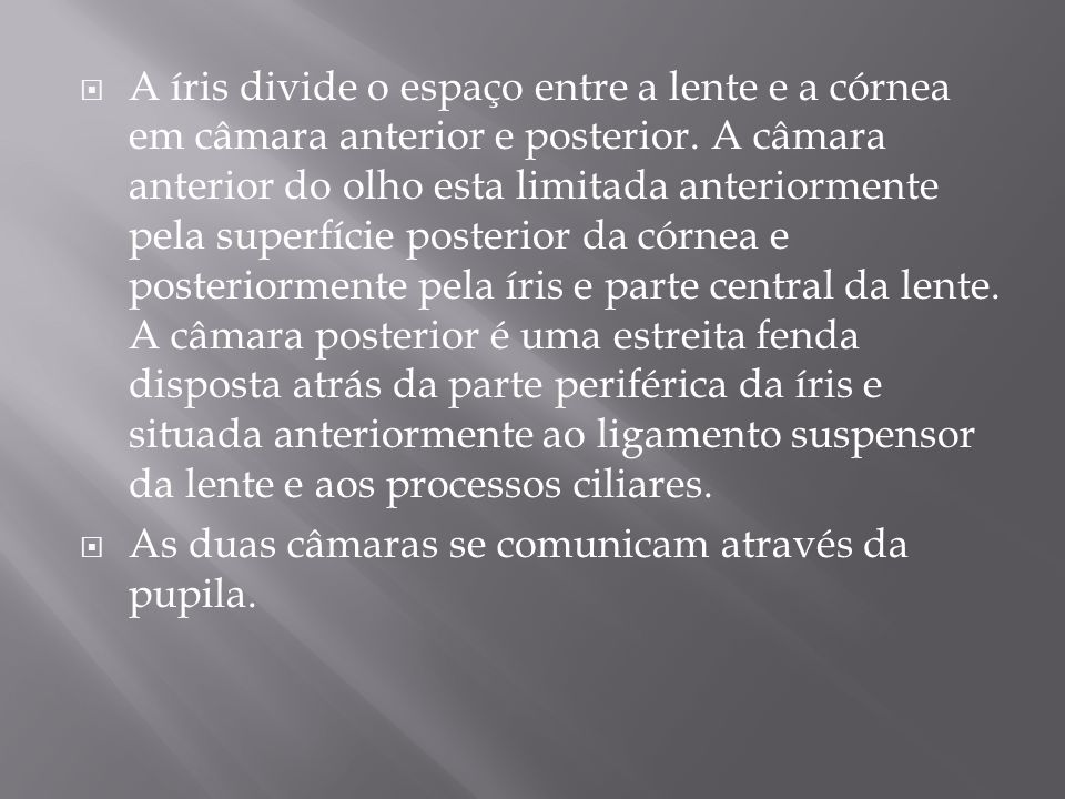 A íris divide o espaço entre a lente e a córnea em câmara anterior e posterior. A câmara anterior do olho esta limitada anteriormente pela superfície posterior da córnea e posteriormente pela íris e parte central da lente. A câmara posterior é uma estreita fenda disposta atrás da parte periférica da íris e situada anteriormente ao ligamento suspensor da lente e aos processos ciliares.