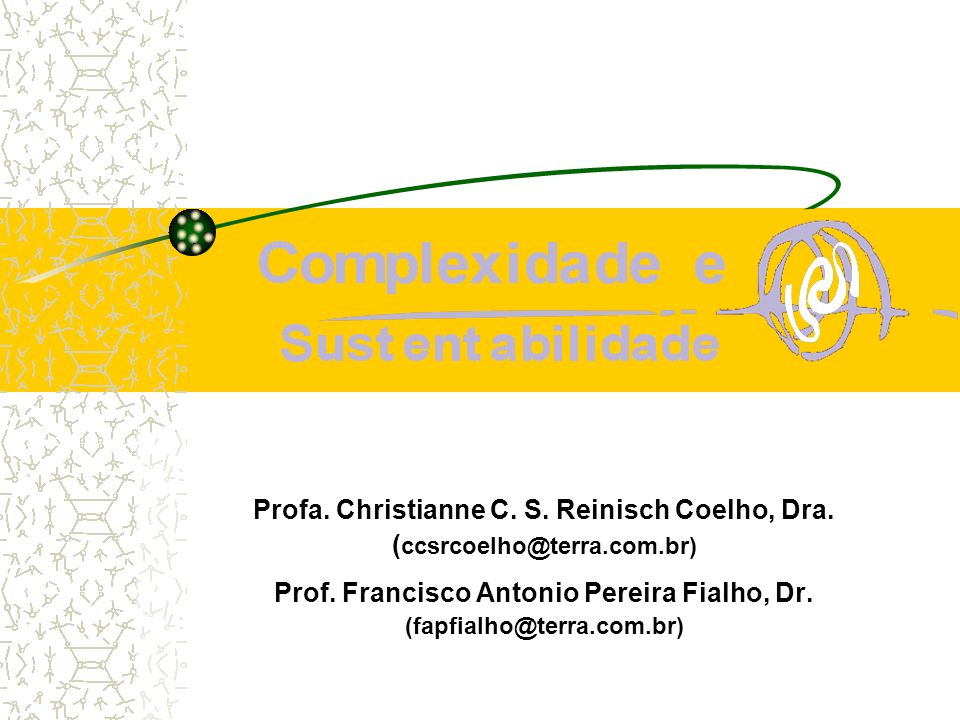 Profa. Christianne C. S. Reinisch Coelho, Dra.