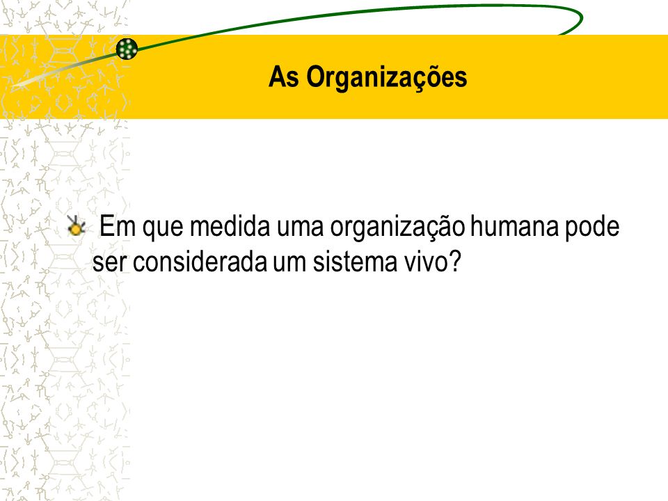 As Organizações Em que medida uma organização humana pode ser considerada um sistema vivo