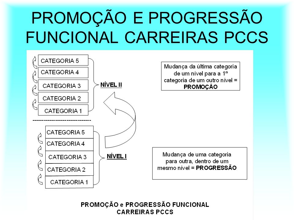 PROMOÇÃO E PROGRESSÃO FUNCIONAL CARREIRAS PCCS