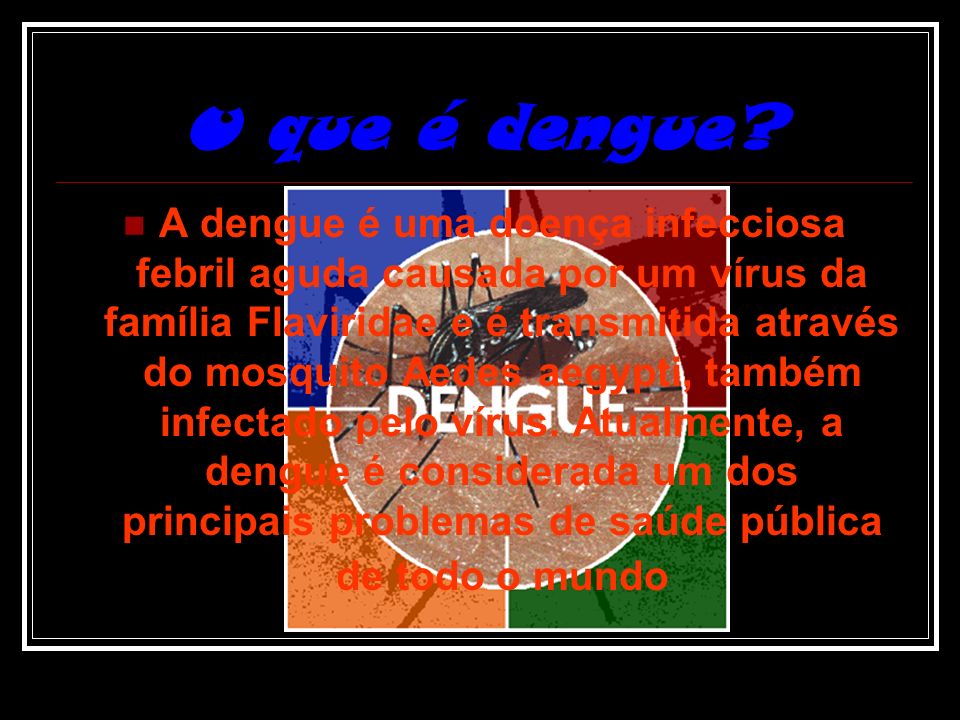 O que é dengue O que é dengue