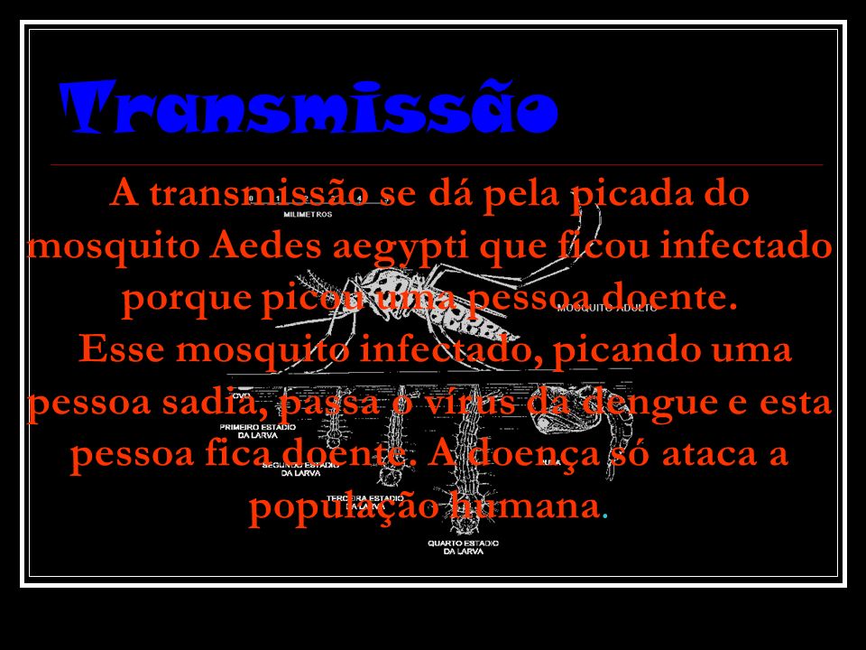 Transmissão A transmissão se dá pela picada do mosquito Aedes aegypti que ficou infectado porque picou uma pessoa doente.