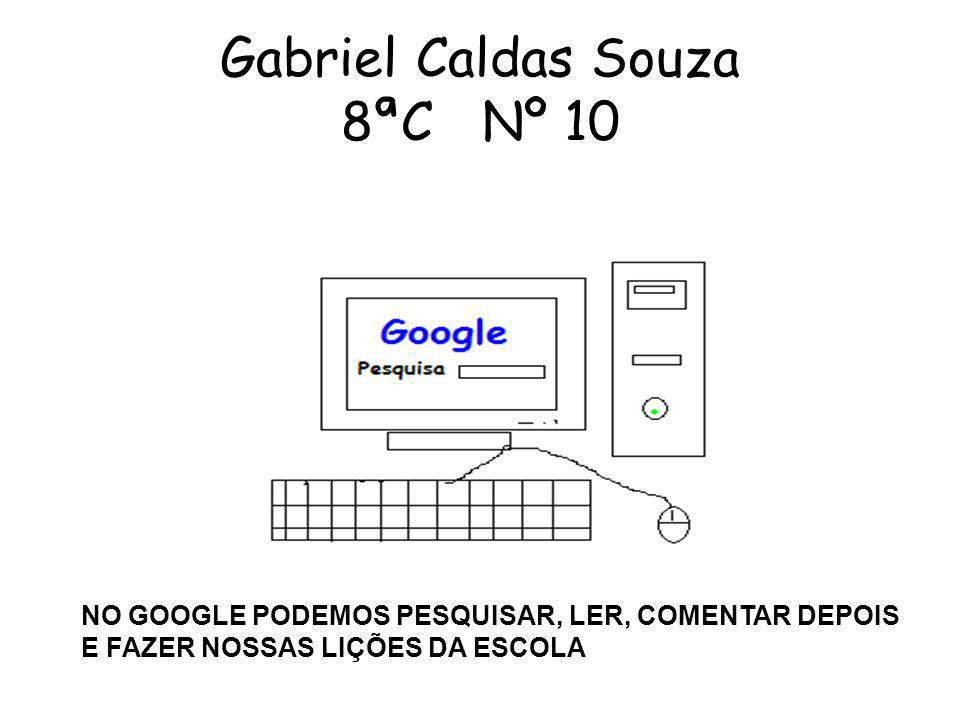 Gabriel Caldas Souza 8ªC Nº 10