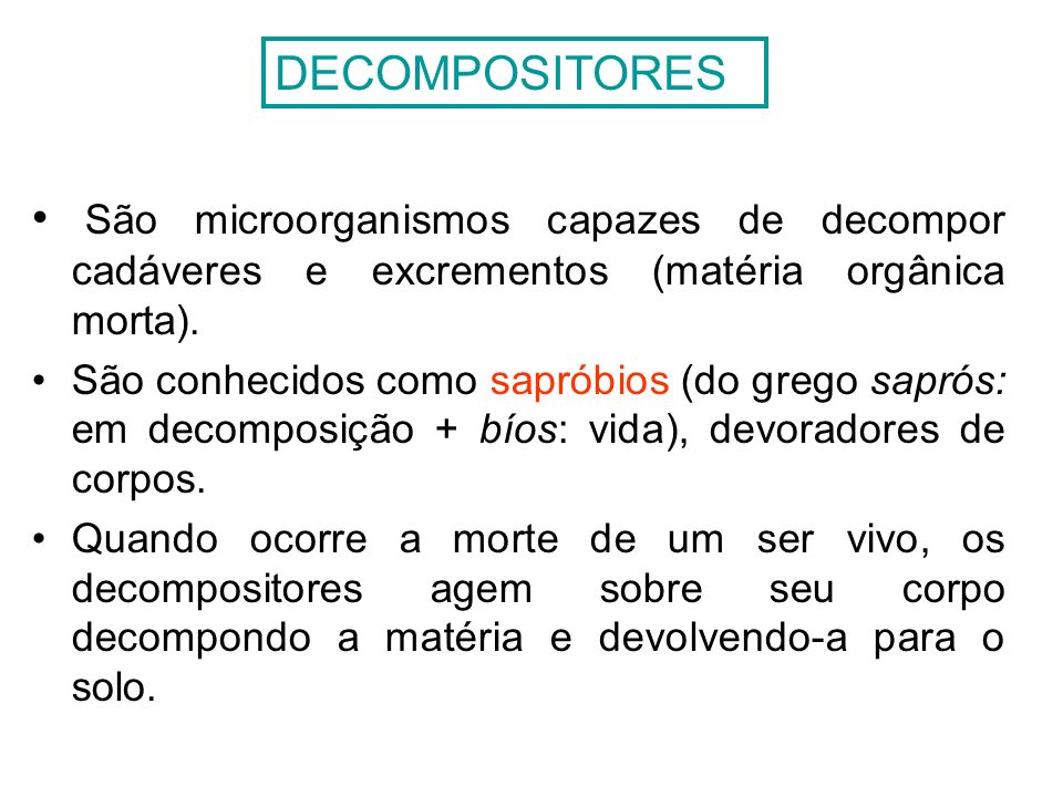 DECOMPOSITORES São microorganismos capazes de decompor cadáveres e excrementos (matéria orgânica morta).