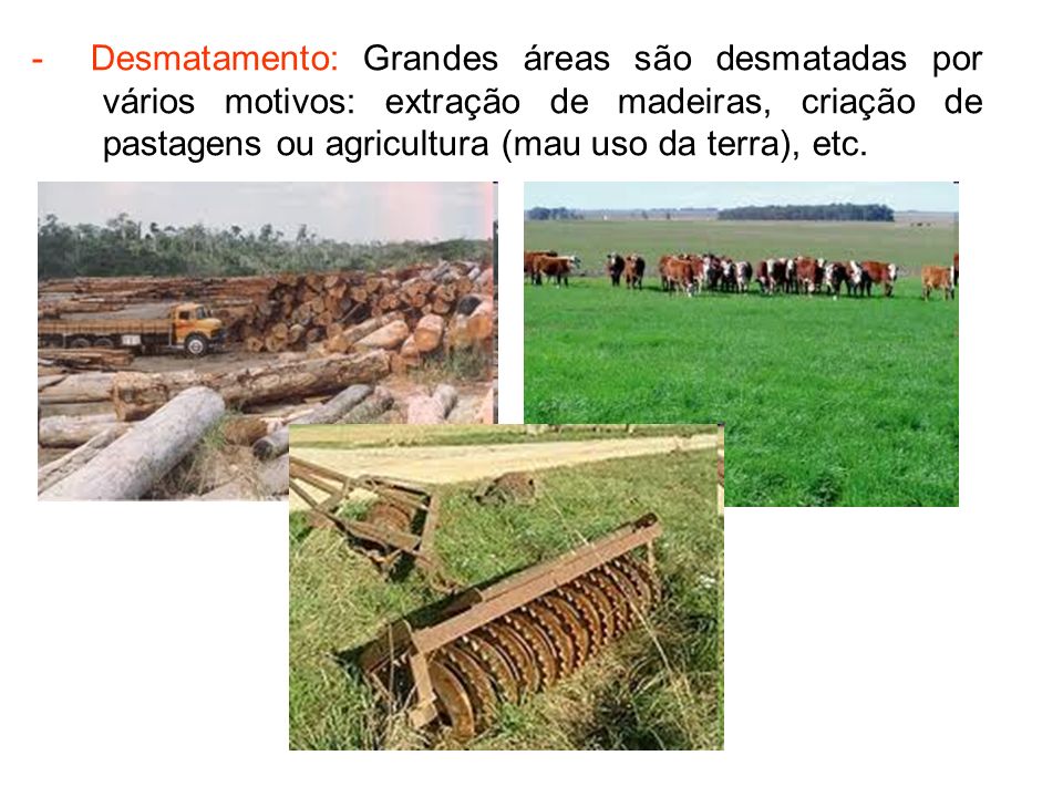 - Desmatamento: Grandes áreas são desmatadas por vários motivos: extração de madeiras, criação de pastagens ou agricultura (mau uso da terra), etc.
