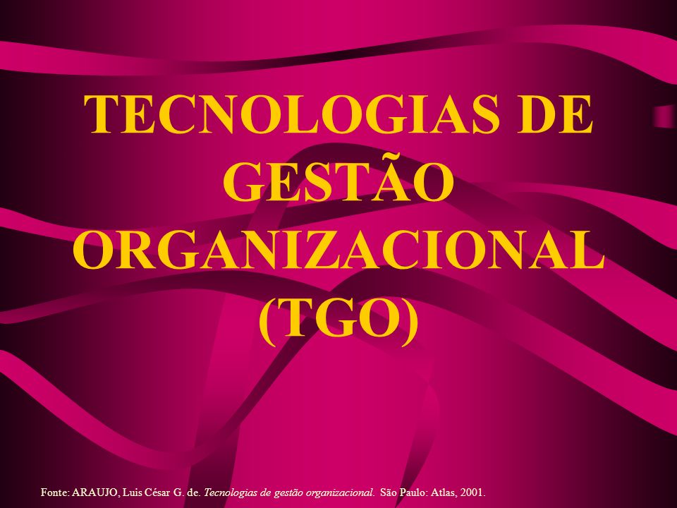 TECNOLOGIAS DE GESTÃO ORGANIZACIONAL (TGO)