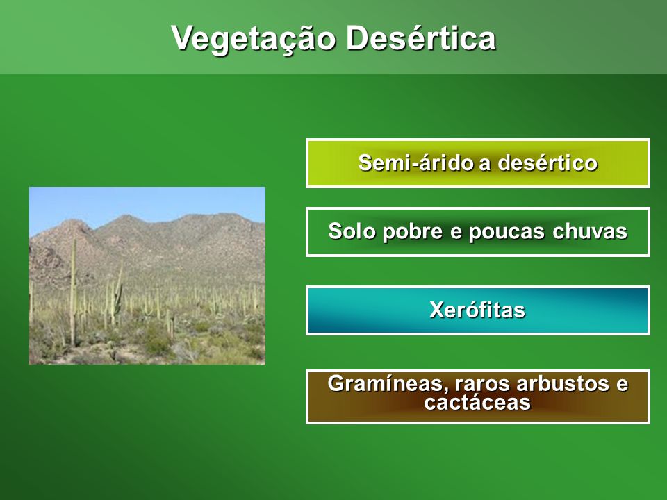 Vegetação Desértica Semi-árido a desértico Solo pobre e poucas chuvas