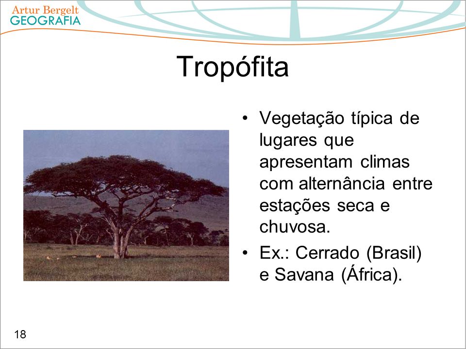 Tropófita Vegetação típica de lugares que apresentam climas com alternância entre estações seca e chuvosa.