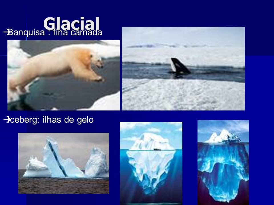 Glacial Banquisa : fina camada Iceberg: ilhas de gelo