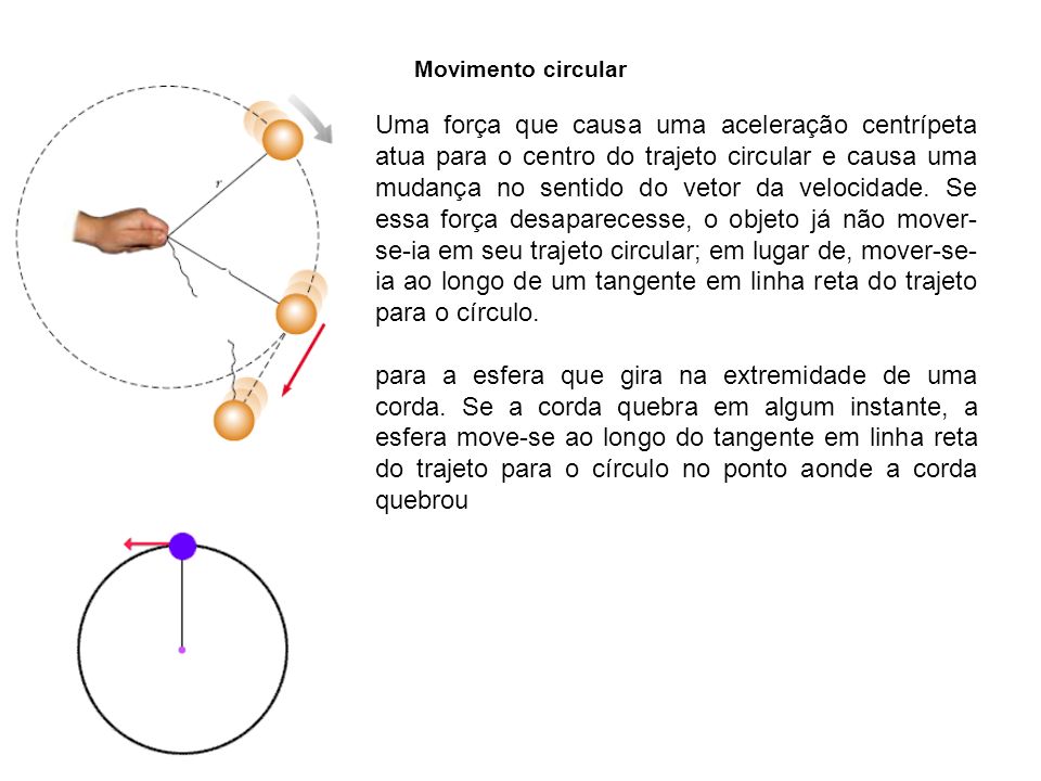 Movimento circular