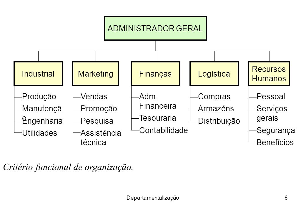 Critério funcional de organização.