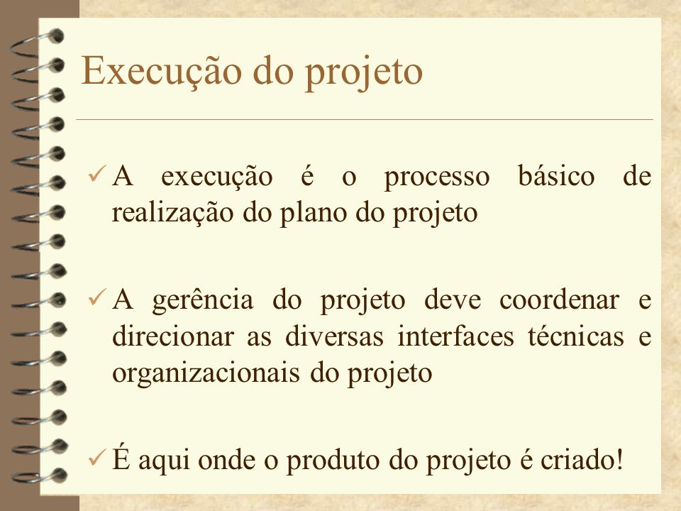 Execução do projeto A execução é o processo básico de realização do plano do projeto.