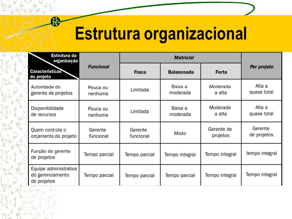 Estrutura organizacional