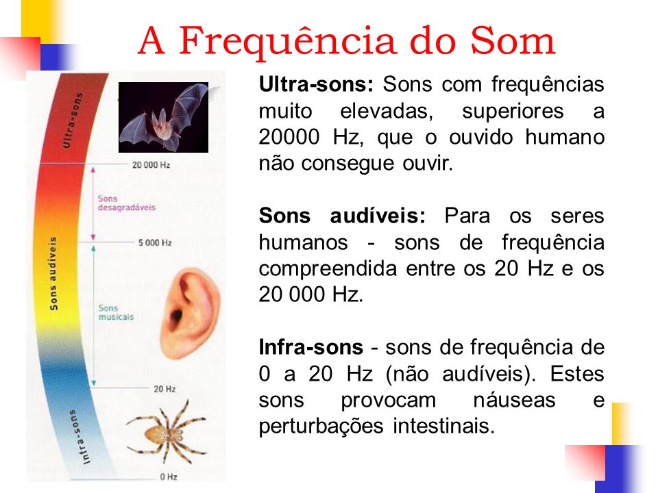 A Frequência do Som Ultra-sons: Sons com frequências muito elevadas, superiores a Hz, que o ouvido humano não consegue ouvir.