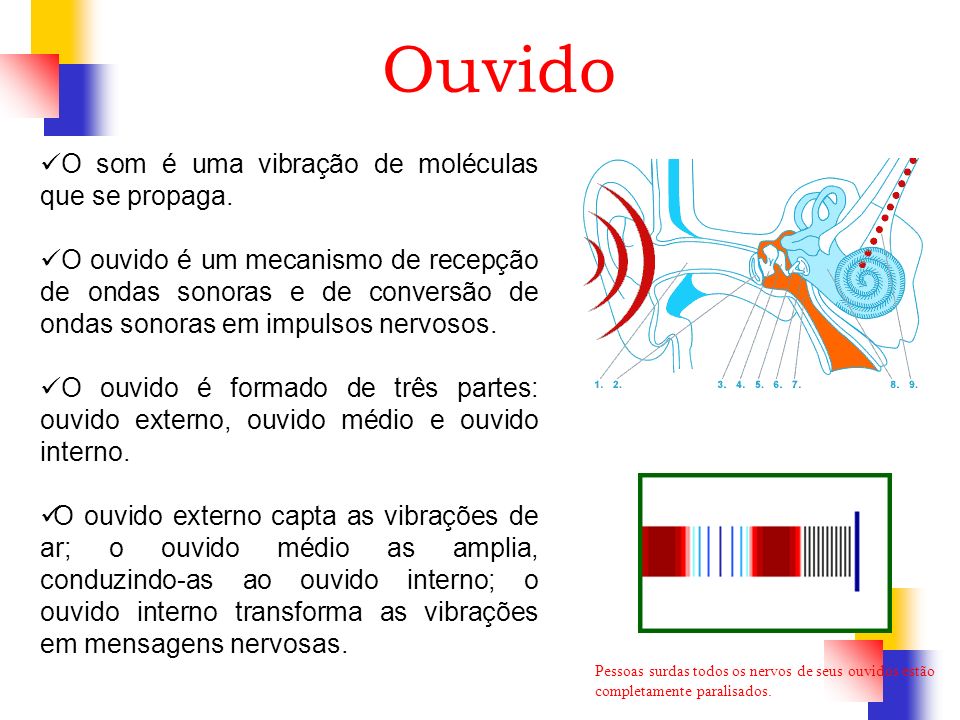 Ouvido O som é uma vibração de moléculas que se propaga.