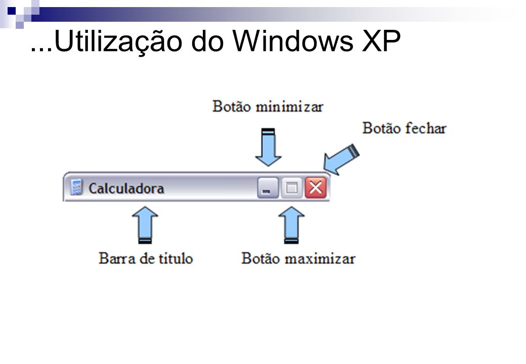 ...Utilização do Windows XP