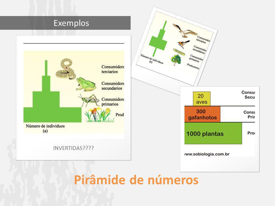 Exemplos INVERTIDAS Pirâmide de números