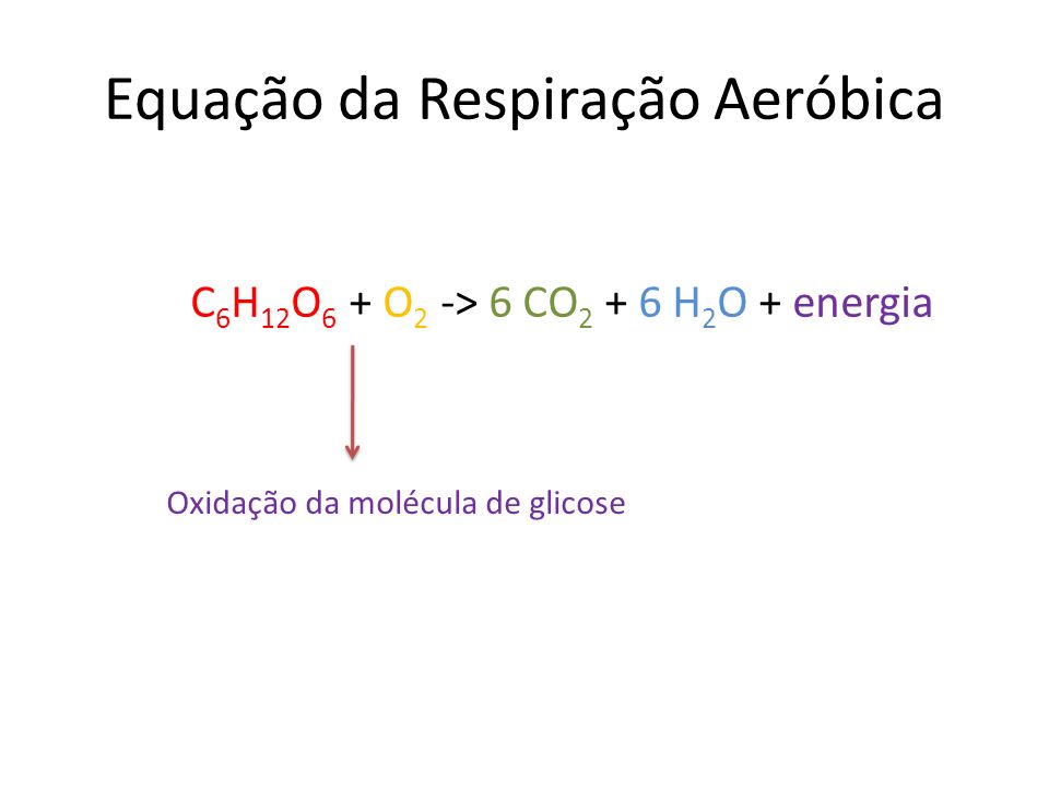 Equação da Respiração Aeróbica