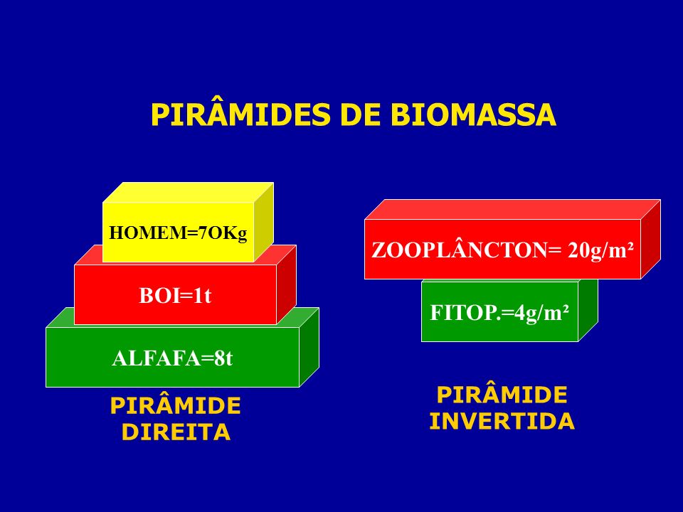 PIRÂMIDES DE BIOMASSA ZOOPLÂNCTON= 20g/m² BOI=1t FITOP.=4g/m²