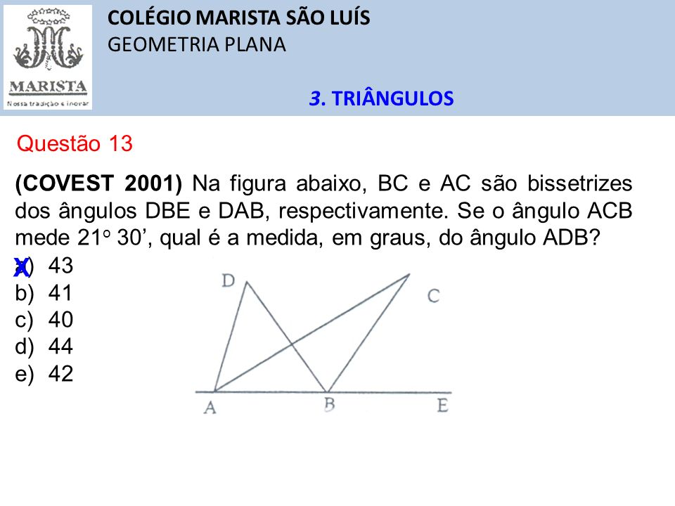 X COLÉGIO MARISTA SÃO LUÍS GEOMETRIA PLANA 3. TRIÂNGULOS Questão 13