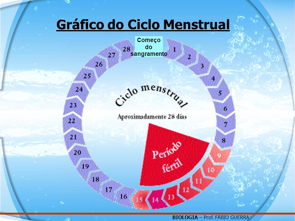 Gráfico do Ciclo Menstrual