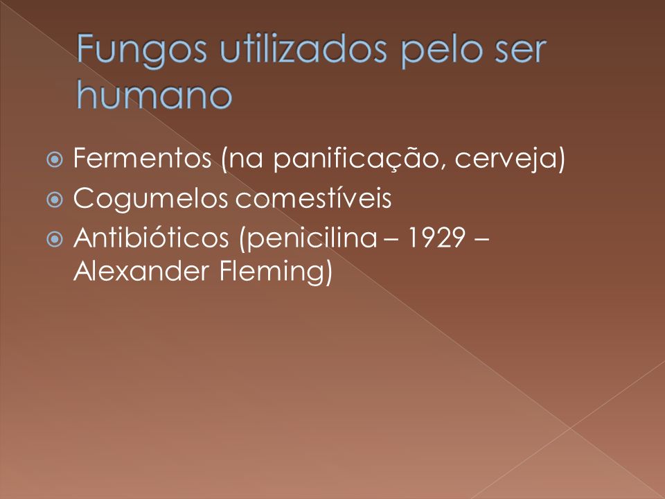 Fungos utilizados pelo ser humano