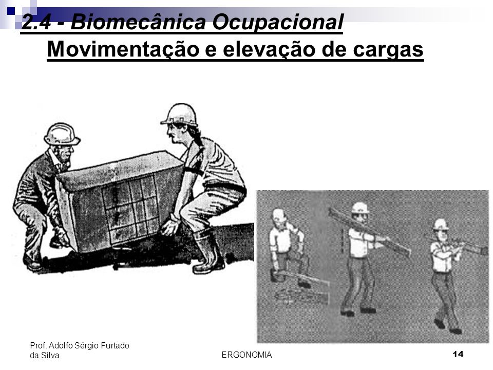 2.4 - Biomecânica Ocupacional Movimentação e elevação de cargas