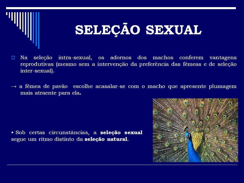 Seleção Sexual em Plantas - ppt carregar